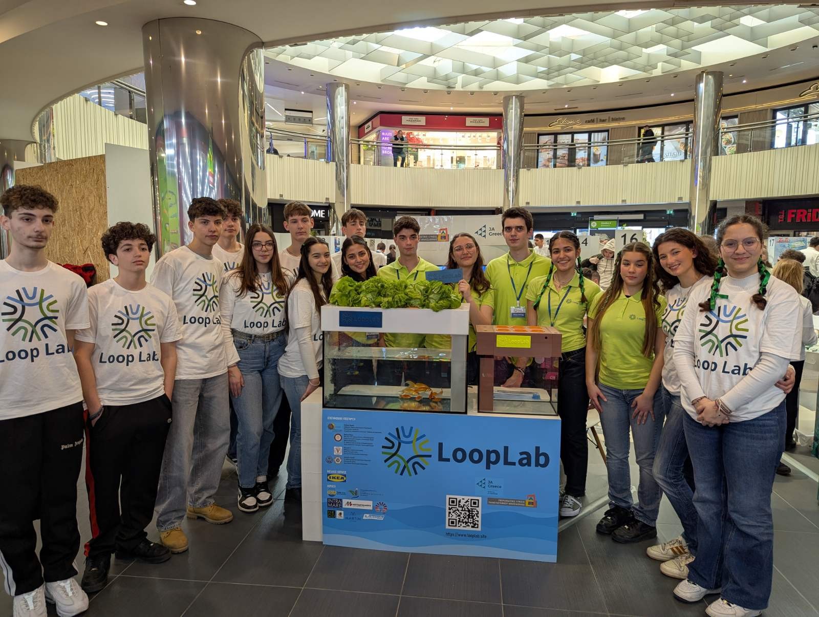 Loop Lab
